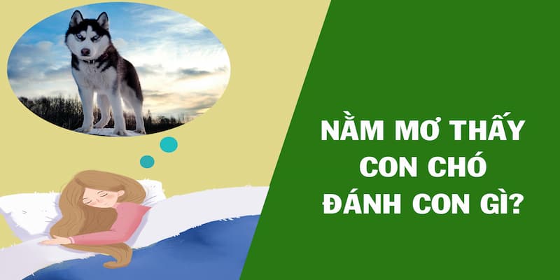 Nằm mơ thấy chó Nằm mơ thấy chó nên đánh số gì?