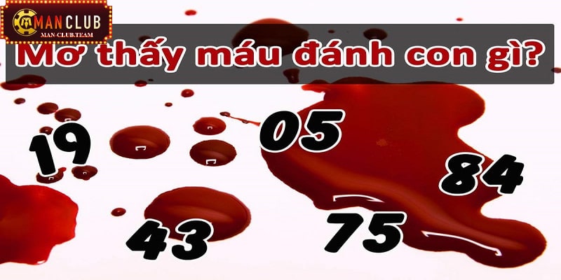Nằm mơ thấy máu Chiêm bao thấy máu nên đánh con số nào chuẩn?