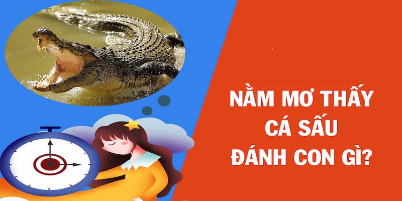 nằm mơ thấy cá sấu Nằm mơ thấy cá sấu chon số gì để có tài lộc?