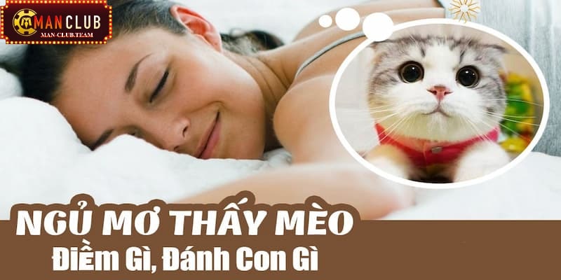 Nằm mơ thấy mèo Nằm mơ thấy mèo nên đánh số gì?